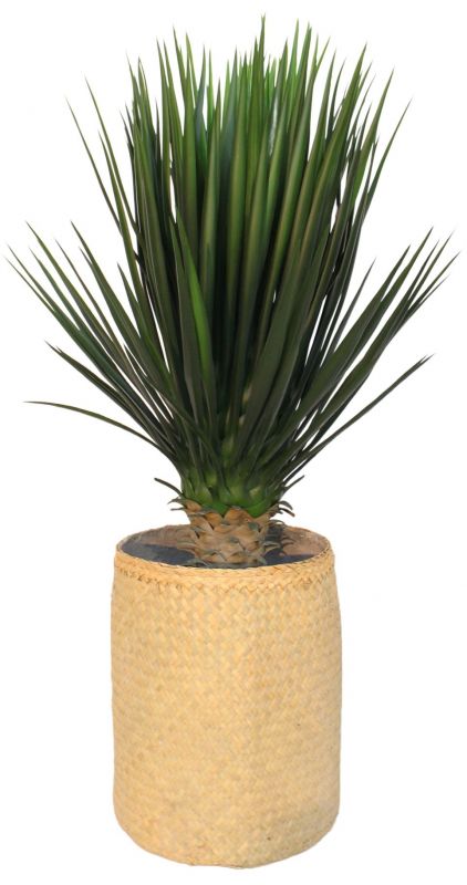 Nairobie Zamia Artificial Plant Tanaman    